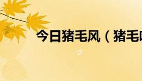 今日猪毛风（猪毛吃进去会如何）