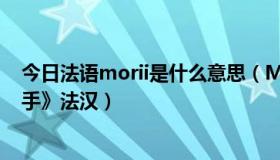 今日法语morii是什么意思（Mojang是什么意思 《法语助手》法汉）