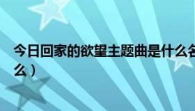 今日回家的欲望主题曲是什么名字（回家的欲望主题曲是什么）