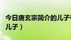 今日唐玄宗简介的儿子有哪些（唐玄宗简介的儿子）