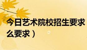 今日艺术院校招生要求（艺术学院招生都有什么要求）