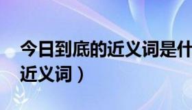 今日到底的近义词是什么 标准答案（到底的近义词）