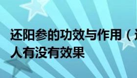 还阳参的功效与作用（还阳参的功效与作用男人有没有效果