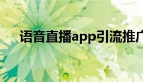 语音直播app引流推广 语音直播赚钱吗