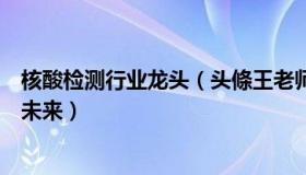 核酸检测行业龙头（头條王老师：业内：核酸检测产业没有未来）