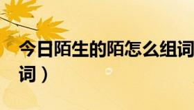 今日陌生的陌怎么组词儿?（陌生的陌怎么组词）