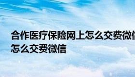 合作医疗保险网上怎么交费微信 2020年合作医疗保险网上怎么交费微信