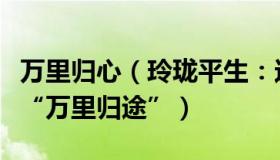 万里归心（玲珑平生：这名党代表亲历现实版“万里归途”）