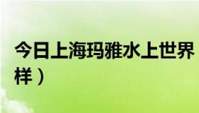 今日上海玛雅水上世界（上海玛雅水世界怎么样）