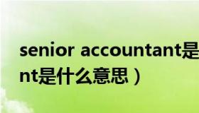 senior accountant是什么职位（accountant是什么意思）