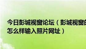 今日彭城视窗论坛（彭城视窗的彭城社区怎样上传照片的，怎么样输入照片网址）