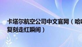 卡塔尔航空公司中文官网（哈哈乐开怀：卡塔尔“小王子”复刻走红瞬间）