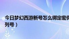 今日梦幻西游新号怎么绑定密保（梦幻西游怎么绑定新手序列号）