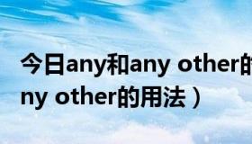 今日any和any other的区别和用法（any和any other的用法）