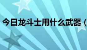 今日龙斗士用什么武器（龙斗士哪个职业好）