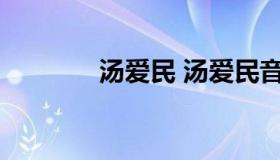 汤爱民 汤爱民音乐教授简介