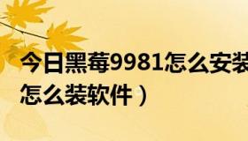 今日黑莓9981怎么安装软件（我的黑莓9000怎么装软件）