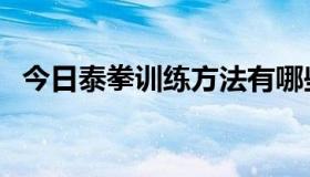 今日泰拳训练方法有哪些（泰拳训练方法）