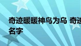 奇迹暖暖神鸟为乌 奇迹暖暖神明赐予神鸟的名字