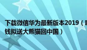 下载微信华为最新版本2019（嘤呀听我说：芬兰动物园因缺钱拟送大熊猫回中国）