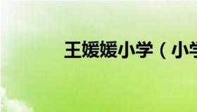 王媛媛小学（小学教师赵媛媛