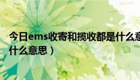 今日ems收寄和揽收都是什么意思啊（ems收寄和揽收都是什么意思）