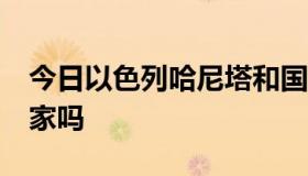 今日以色列哈尼塔和国内哈尼塔 hanita是一家吗