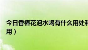 今日香椿花泡水喝有什么用处和功效（香椿花泡水喝有什么用）