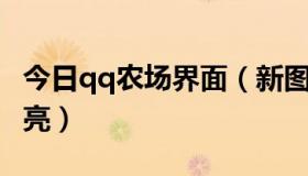 今日qq农场界面（新图标QQ农场图标如何点亮）