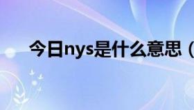 今日nys是什么意思（NYSE代表什么）