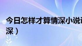 今日怎样才算情深小说讲的什么（怎样才算情深）