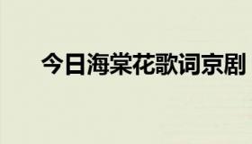 今日海棠花歌词京剧（海棠花之歌词）