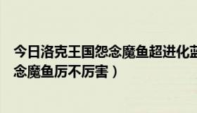 今日洛克王国怨念魔鱼超进化蓝色钥匙怎么得（洛克王国怨念魔鱼厉不厉害）