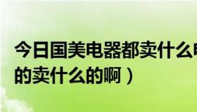 今日国美电器都卖什么电器（国美电器是干嘛的卖什么的啊）