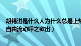 胡锡进是什么人为什么总是上热搜（杨昭煇：胡锡进：全国自由流动呼之欲出）