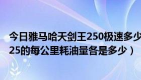 今日雅马哈天剑王250极速多少（雅马哈天剑王250和天剑125的每公里耗油量各是多少）