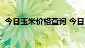 今日玉米价格查询 今日玉米价格最新价格）