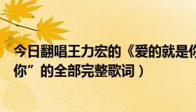 今日翻唱王力宏的《爱的就是你》（王力宏歌曲《爱的就是你”的全部完整歌词）