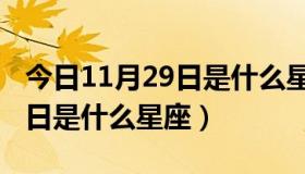 今日11月29日是什么星座上升星座（11月29日是什么星座）