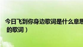 今日飞到你身边歌词是什么意思（谁知道王强的 飞到你身边 的歌词）