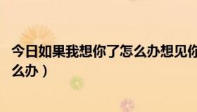 今日如果我想你了怎么办想见你的台词（如果我想你了，.怎么办）