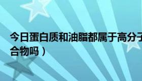 今日蛋白质和油脂都属于高分子化合物（油脂属于高分子化合物吗）