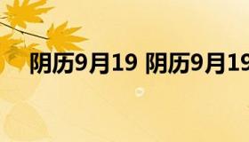 阴历9月19 阴历9月19日阳历是多少号）