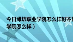 今日潍坊职业学院怎么样好不好是A档还是B档（潍坊职业学院怎么样）