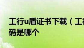 工行u盾证书下载（工行u盾证书下载验证密码是哪个