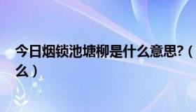 今日烟锁池塘柳是什么意思?（烟锁池塘柳 字面上意思是什么）