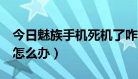 今日魅族手机死机了咋办（魅族2手机死机了怎么办）