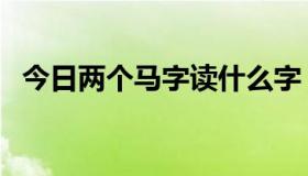 今日两个马字读什么字（两个马字读什么）