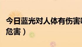 今日蓝光对人体有伤害吗（蓝光对人体有什么危害）