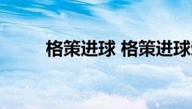 格策进球 格策进球荣誉享受生活）